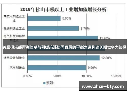 英超俱乐部青训体系与引援策略协同发展的平衡之道构建长期竞争力路径